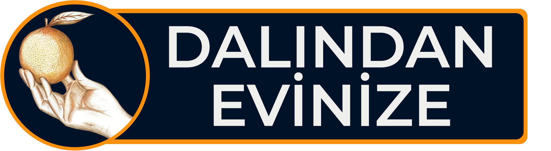 Dalından Evinize